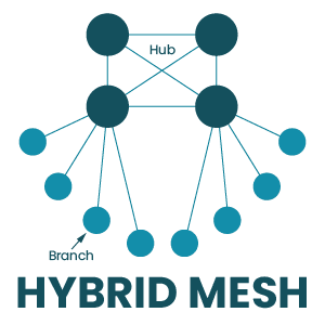 Hybrid Mesh