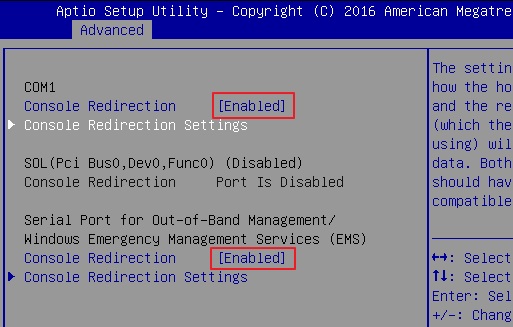 Serial console redirection enabled in BIOS. Source: